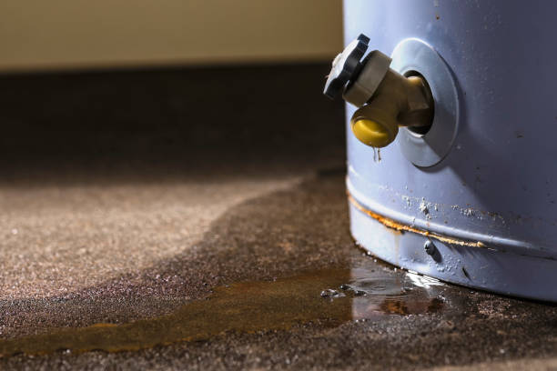 Best Water damage restoration near me  in Doolittle, TX