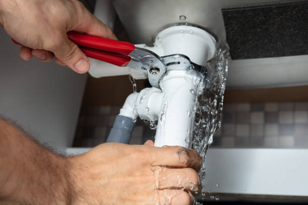 Best Mold removal after water damage  in Doolittle, TX