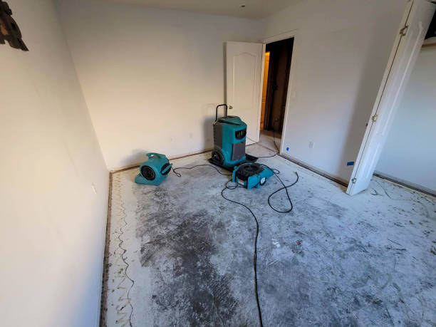 Best Emergency water damage restoration  in Doolittle, TX