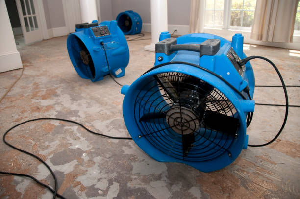Best Local water damage restoration  in Doolittle, TX