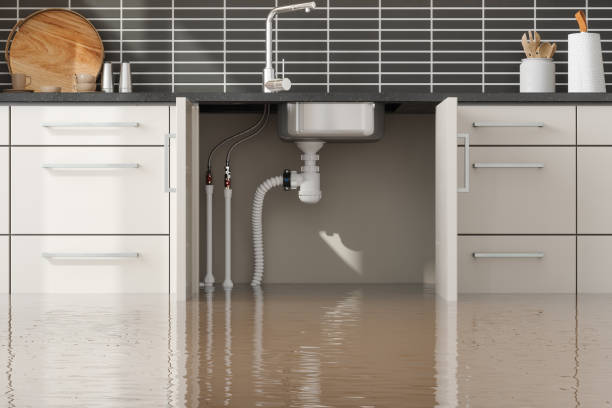  Doolittle, TX Water damage restoration Pros