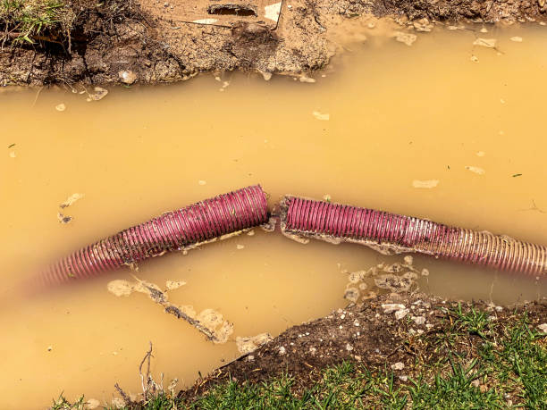Best Flood damage cleanup  in Doolittle, TX