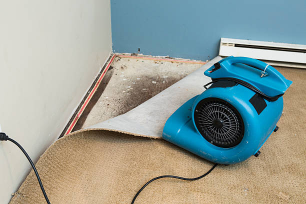 Best Fire Damage Restoration  in Doolittle, TX